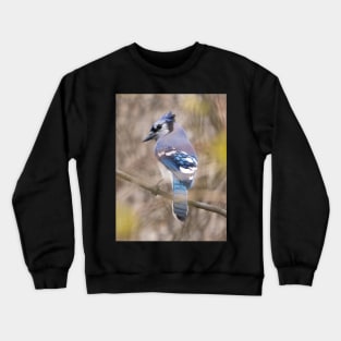 Blue Jay with brown and grey blurred background and green blurred leaves Crewneck Sweatshirt